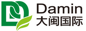 大闽国际