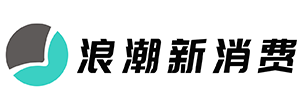 浪潮新消费