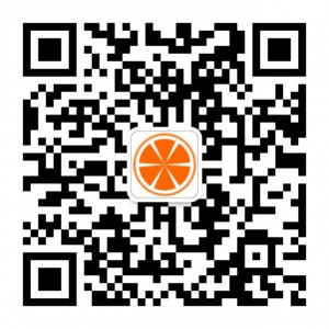 it桔子